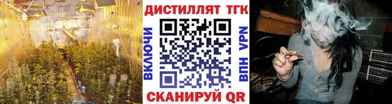 Дистиллят ТГК гашишное масло  Староминская 